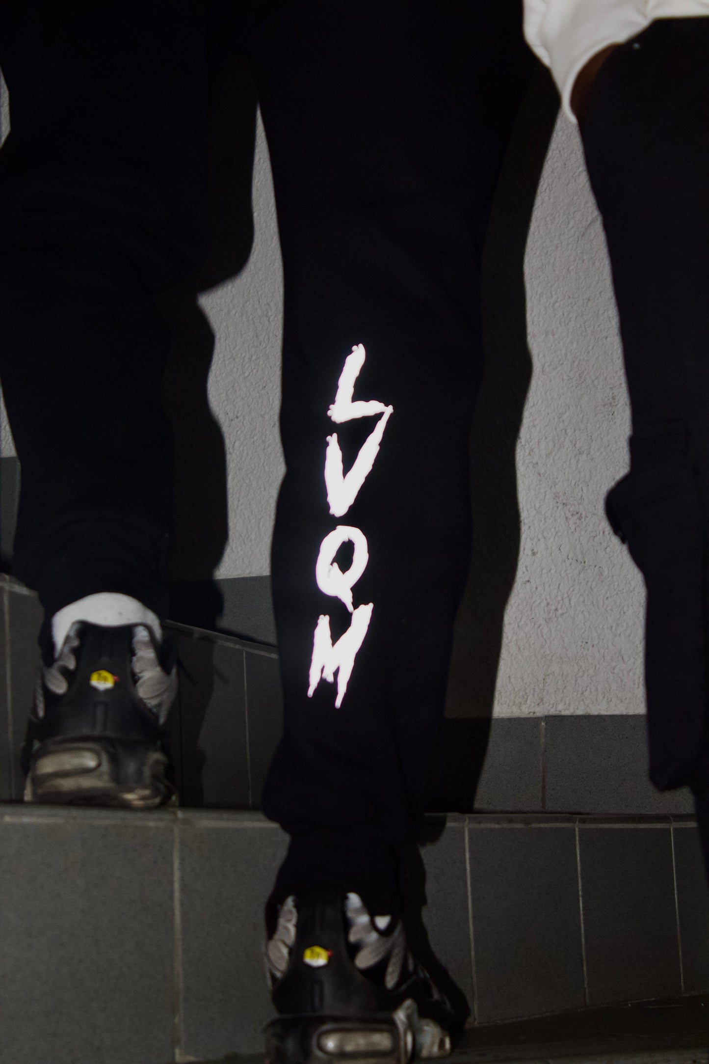 Ensemble LVQM — La Vie Qu’on Mène